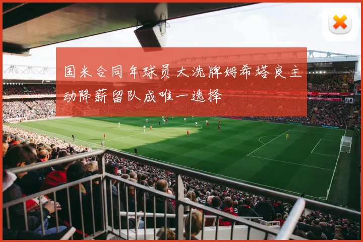 国米合同年球员大洗牌姆希塔良主动降薪留队成唯一选择