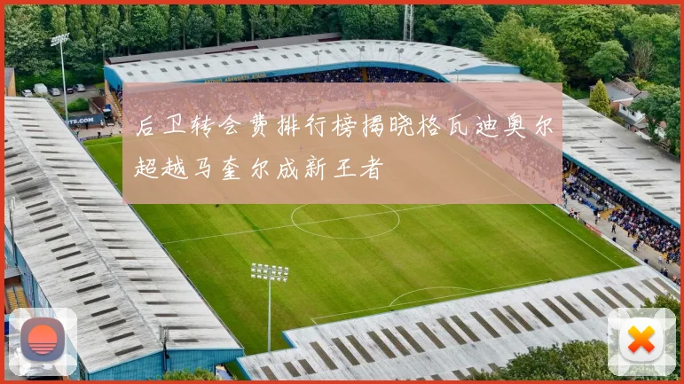 后卫转会费排行榜揭晓格瓦迪奥尔超越马奎尔成新王者